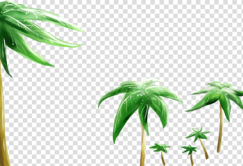 Beauty High-definition television Display resolution , coconut tree transparent background PNG clipart