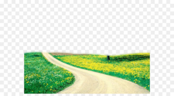 Beauty Spring Nature Wallpaper - Nature Png Picture Beauty Spring Nature Wallpaper - Nature Png Picture