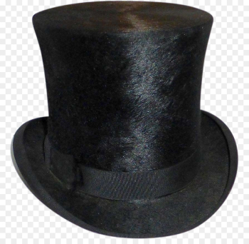 Beaver hat Top hat Headgear - top hat png download - 863*863 ...