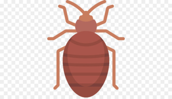 Bed Bug Bite, Bed Bug Control Techniques, Bedbug, Insect, Pest PNG