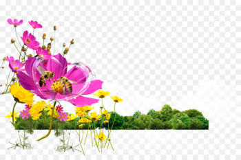 Bee Flower Gratis Computer file - Flowers flowers Bee 