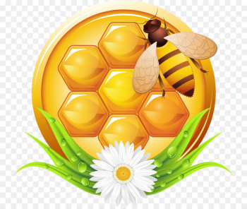 Bee Honey Photography Illustration - Honey bees 
