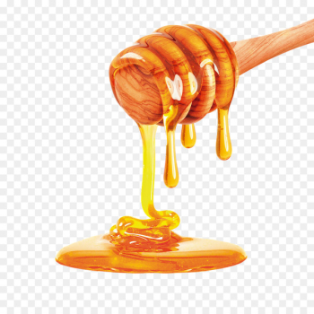 Bee Honey Stock photography Apple - honey 