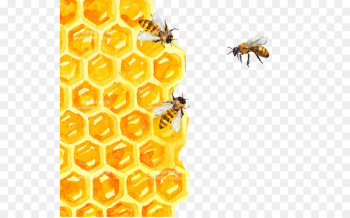 Bee Honeycomb Watercolor painting Illustration - bee 