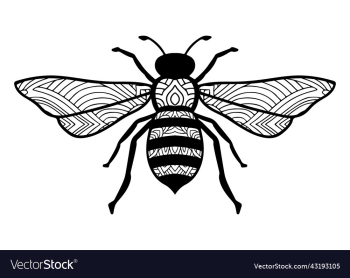 bee mandala coloring page for adults bee mandala coloring page for adults