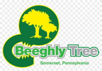 Beeghly Tree Service - Beeghly Tree Service Llc Beeghly Tree Service - Beeghly Tree Service Llc