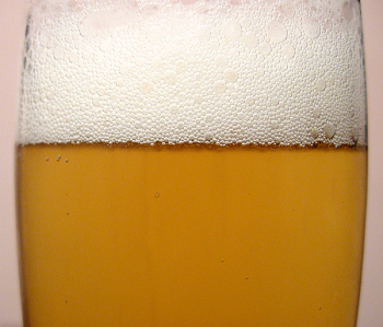 Beer_7890 (13).JPG Beer_7890 (13).JPG