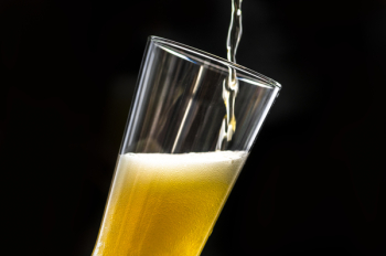 Beer Poured on Glass Beer Poured on Glass