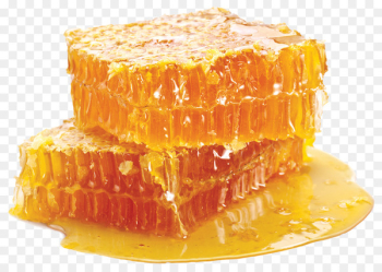 Beeswax Honeycomb Honey bee Beehive - drink honey bees Beeswax Honeycomb Honey bee Beehive - drink honey bees