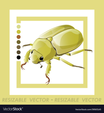 beetle beetle