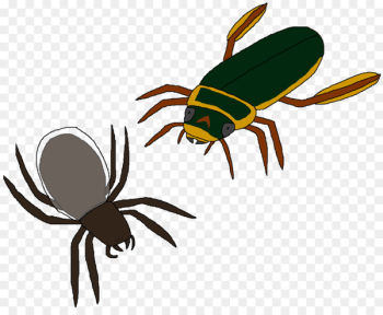 Beetle, Great Diving Beetle, Ant, Insect, Pest PNG Beetle, Great Diving Beetle, Ant, Insect, Pest PNG