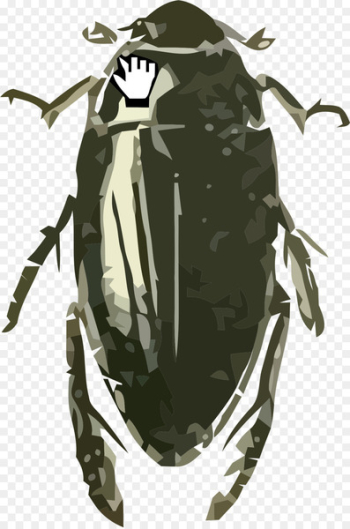 Beetle Hydrophilus triangularis Grasshopper Image - beetle Beetle Hydrophilus triangularis Grasshopper Image - beetle
