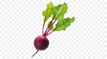 Beetroot Vegetable juice Vegetable juice Food - vegetable png ...