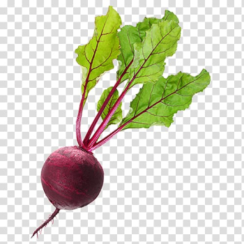 Beetroot Vegetable juice Vegetable juice Food, vegetable transparent background PNG clipart