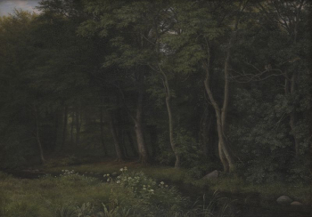 Beginning of evening twilight in a forest.Motif | Free Photo - rawpixel Beginning of evening twilight in a forest.Motif | Free Photo - rawpixel