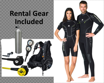 Beginning Scuba Diver — Coral Key Scuba and Travel Beginning Scuba Diver — Coral Key Scuba and Travel