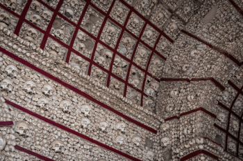 Beige and Red Concrete Bone-themed Wall Beige and Red Concrete Bone-themed Wall