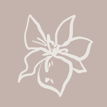 Beige flower line art, Chinese | Free Photo - rawpixel