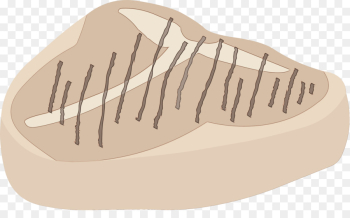 beige footwear finger hand shoe