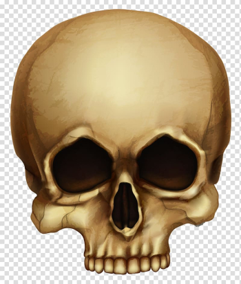 Beige skull , Skull Calavera Halloween Skeleton, Halloween Skull transparent background PNG clipart