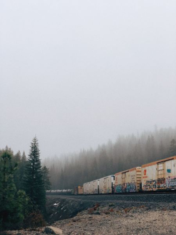 beige train beige train