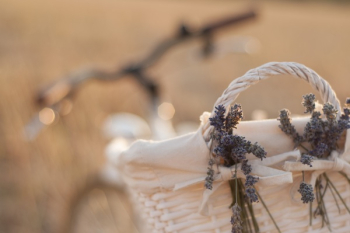 Beige Wicker Basket Near Bike Beige Wicker Basket Near Bike