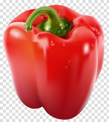 Bell pepper Jalapexf1o Chili pepper , Red Pepper Vegetables transparent background PNG clipart