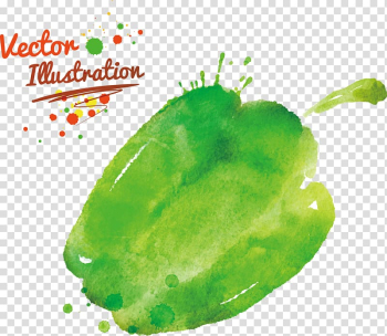 Bell pepper Matbukha Chili pepper Vegetable, Watercolor painted vegetables transparent background PNG clipart