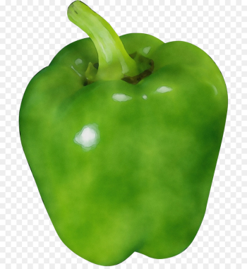 bell pepper pimiento capsicum green bell pepper green bell pepper pimiento capsicum green bell pepper green