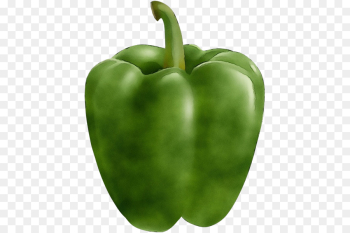 bell pepper pimiento green bell pepper green capsicum bell pepper pimiento green bell pepper green capsicum
