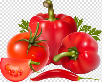 Bell pepper Salsa Chili pepper Vegetable , tomato transparent background PNG clipart Bell pepper Salsa Chili pepper Vegetable , tomato transparent background PNG clipart
