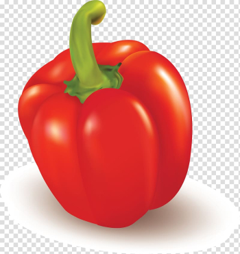 Bell pepper Vegetable Food Fruit Chili pepper, foods transparent background PNG clipart
