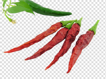 Bell pepper Vegetable Ingredient Food Auglis, green pepper transparent background PNG clipart