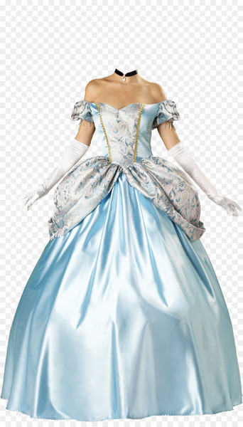 Belle Princess Aurora Costume party Disney Princess - Disney Princess 