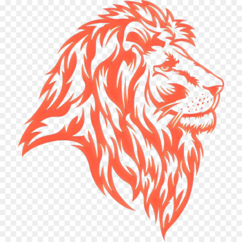 bengal tiger lion tiger head big cats bengal tiger lion tiger head big cats