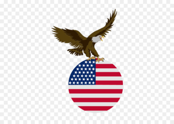 Beret Cap Pom-pom Graphics Bald eagle - halloween eagle 
