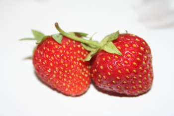 Berrytest_016.jpg Berrytest_016.jpg