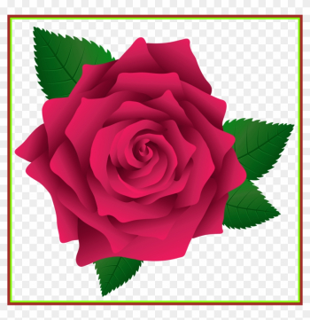 Best Pin By Yanet Molina On Invitaciones Boda A Image - Rose Png Clip Art