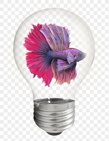 Betta fish png sticker, light | Free PNG - rawpixel