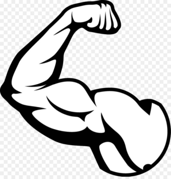 Biceps Arm Muscle - muscle Biceps Arm Muscle - muscle