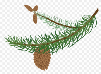 Big Image - Christmas Tree Branch Clip Art