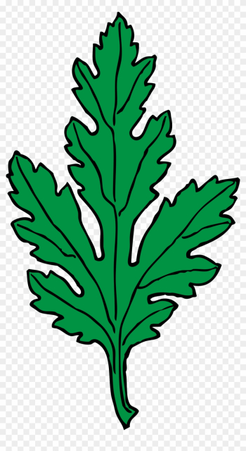 Big Image - Green Leaf Clip Art