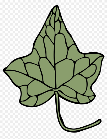 Big Image - Ivy Leaf Clip Art