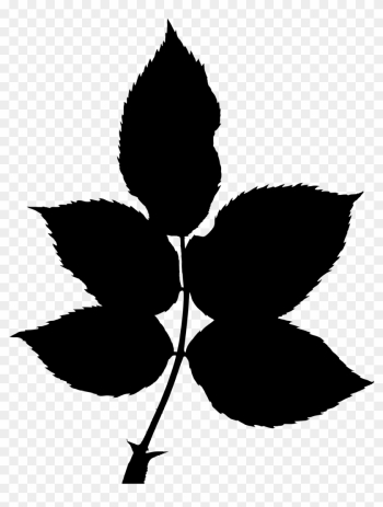 Big Image - Leaf Silhouette Png