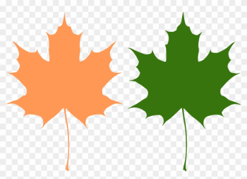 Big Image - Maple Leaf Vector Free