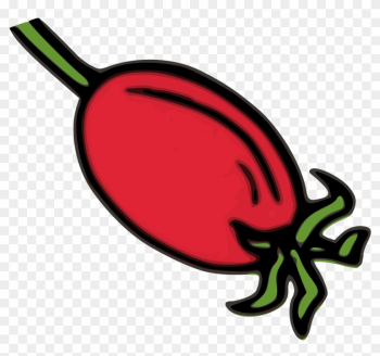 Big Image - Rose Hip Clip Art