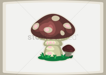 Big mushrooms Big mushrooms