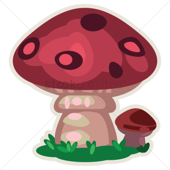 Big mushrooms Big mushrooms