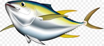 Bigeye tuna Albacore Pacific bluefin tuna Yellowfin tuna Illustration - Cartoon fish 