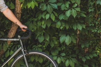 Bike & Vines Bike & Vines